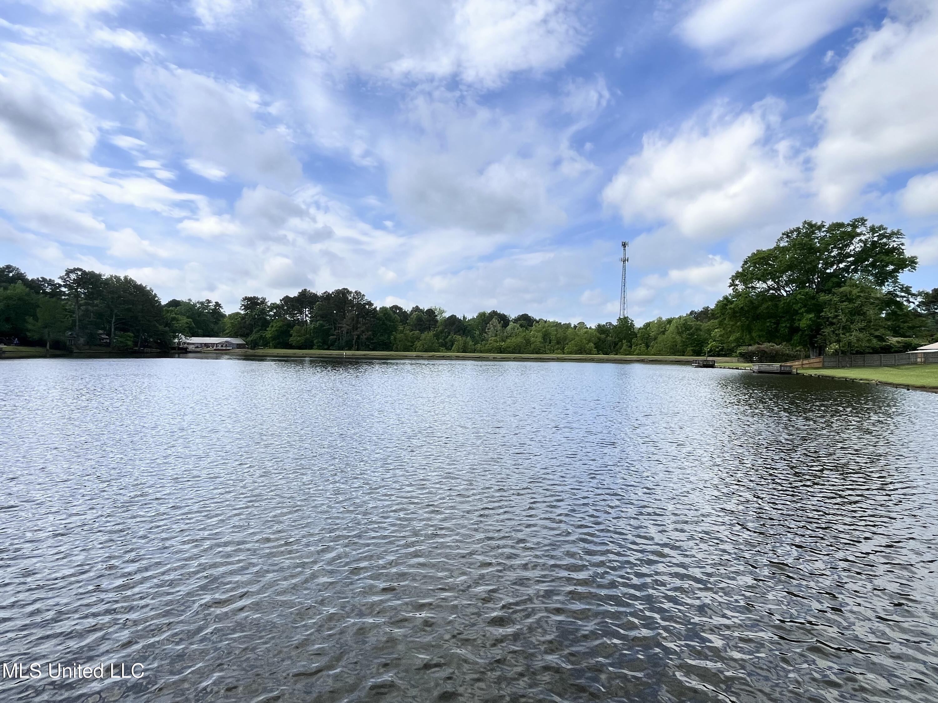 349 Swan Lake Drive, Jackson, Mississippi image 30