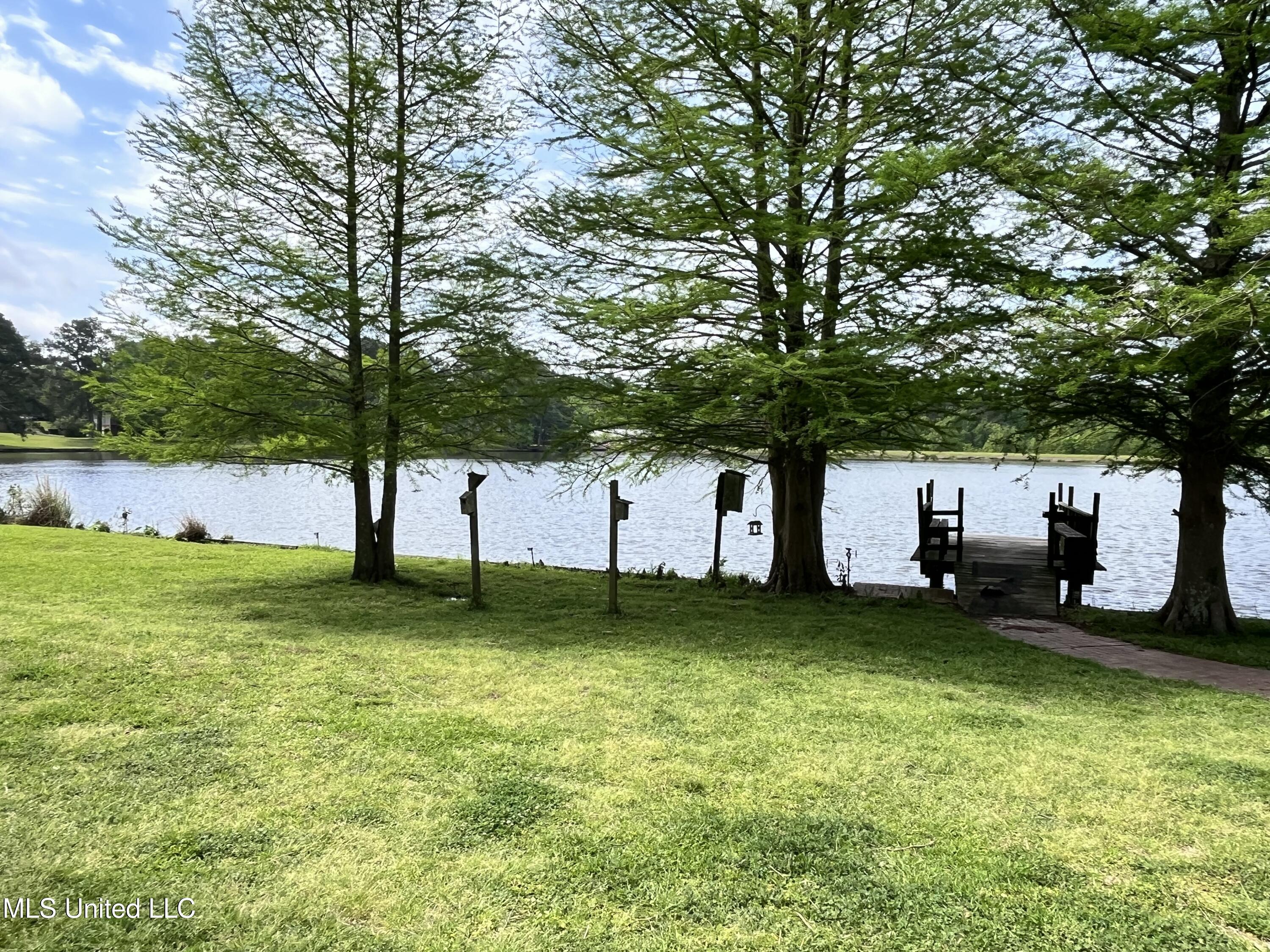 349 Swan Lake Drive, Jackson, Mississippi image 15