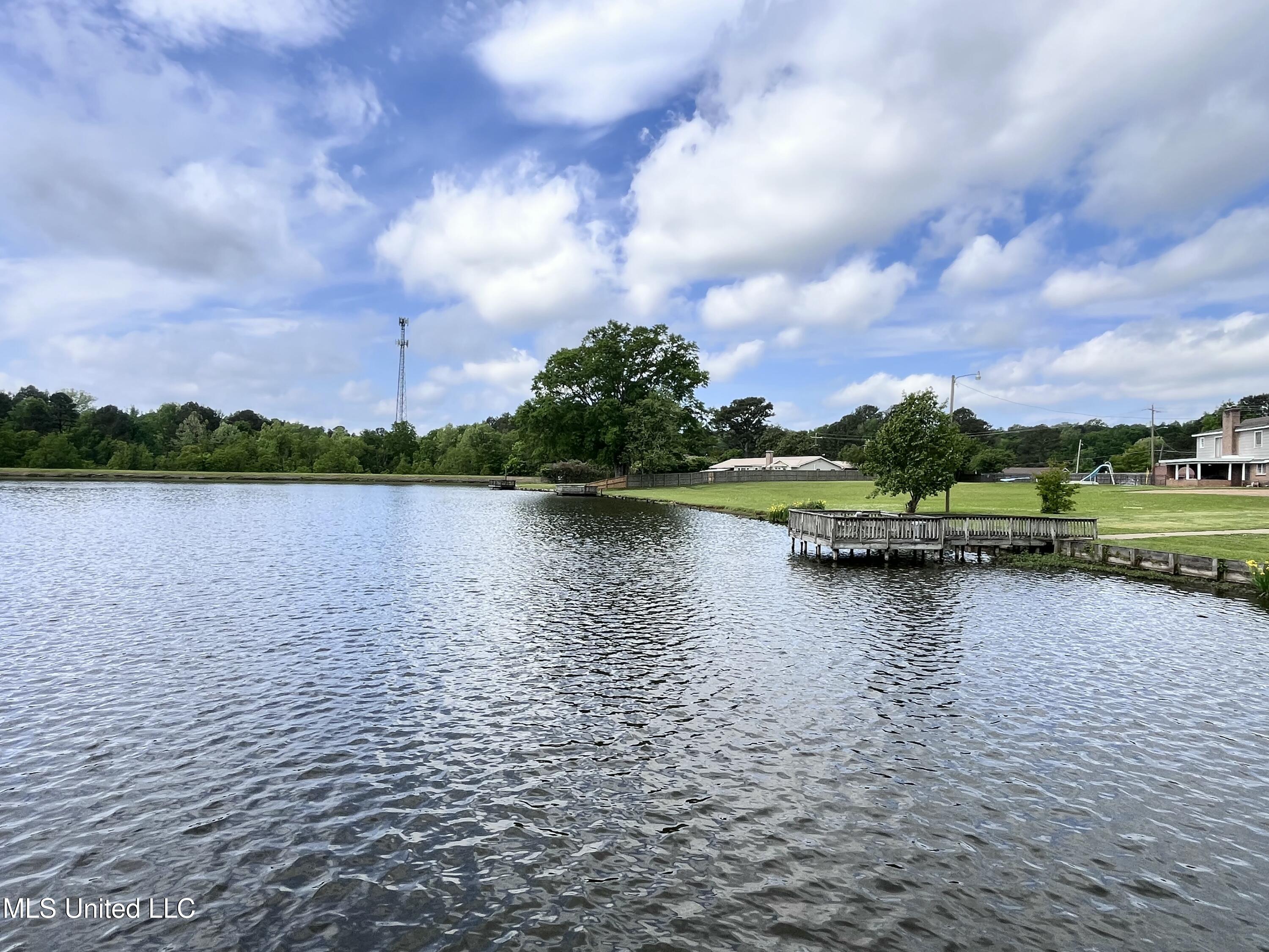 349 Swan Lake Drive, Jackson, Mississippi image 31