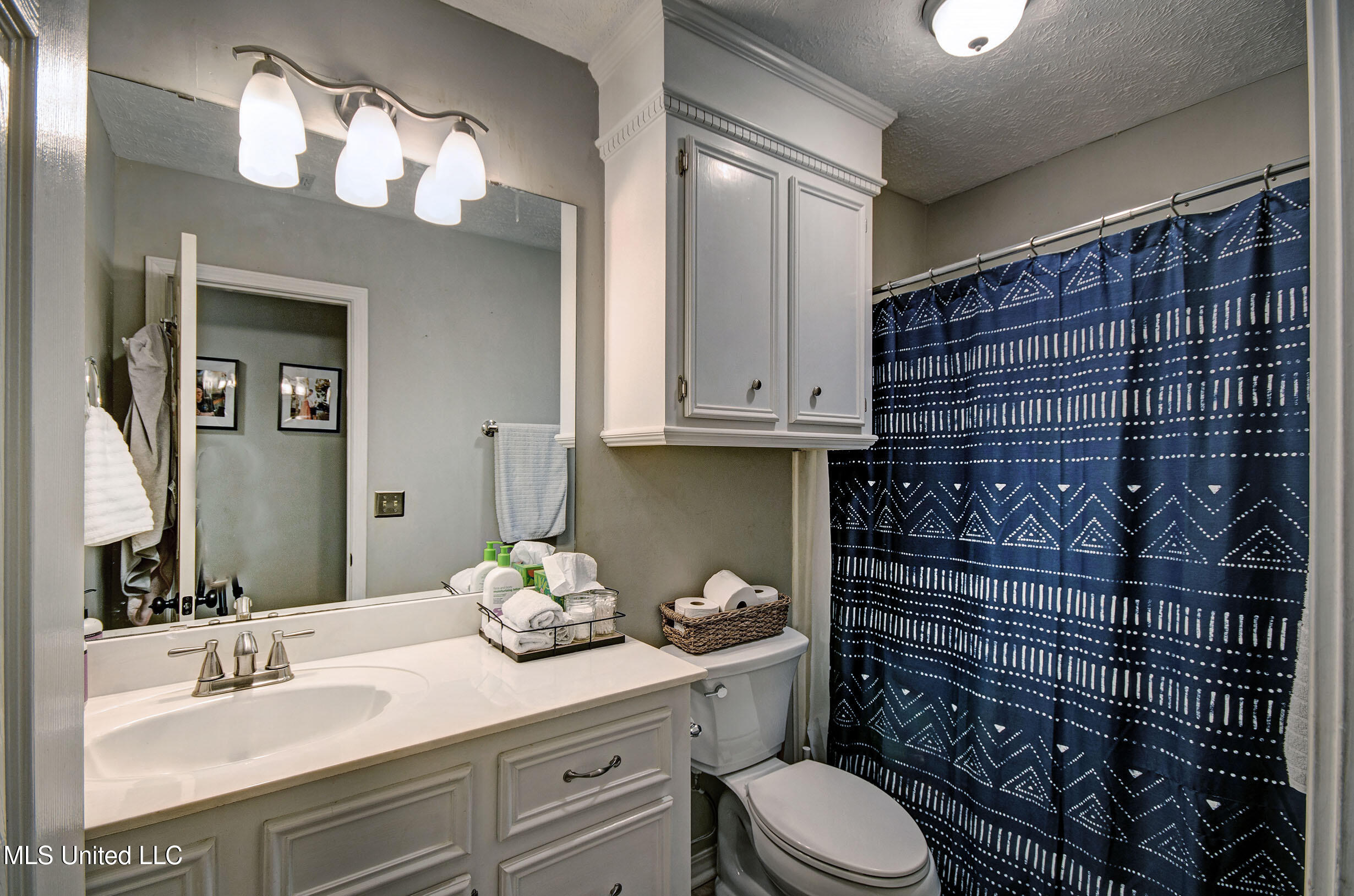 4 Piedmont Cove, Brandon, Mississippi image 18