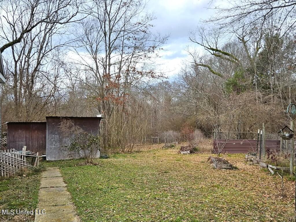 3972 County Road 290 #290, Pachuta, Mississippi image 14