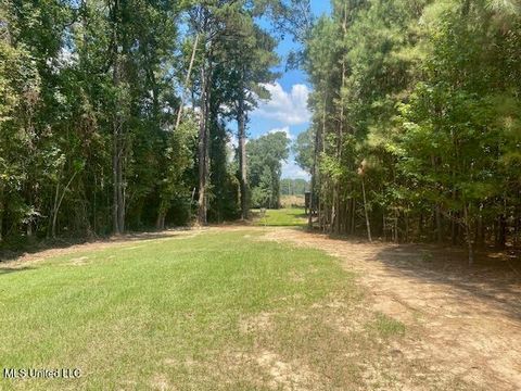 Vacant Land For Sale - Adams Rd<br/> Amite County, Smithdale, MS 39664