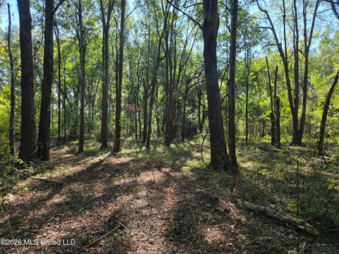 Vacant Land For Sale - W Hwy 82<br/> Greenville, MS 38701