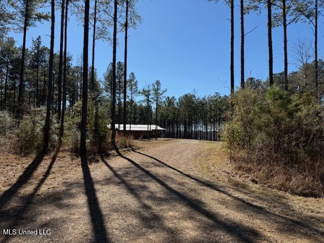 1304 Stump Road Road, Crosby, Mississippi image 4