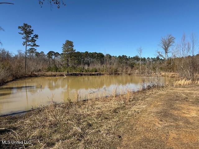 1304 Stump Road Road, Crosby, Mississippi image 36