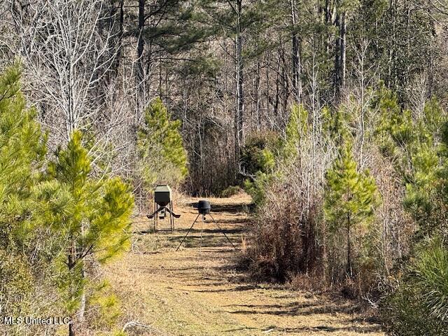 1304 Stump Road Road, Crosby, Mississippi image 48