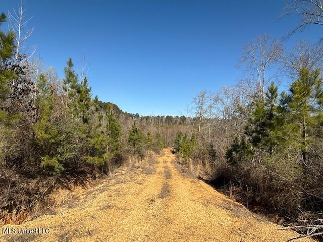 1304 Stump Road Road, Crosby, Mississippi image 49