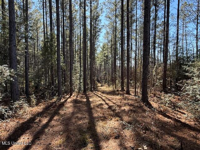 1304 Stump Road Road, Crosby, Mississippi image 34