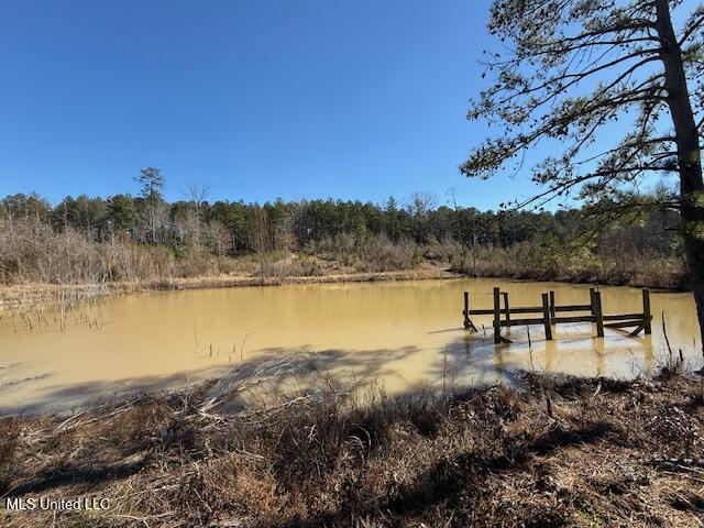 1304 Stump Road Road, Crosby, Mississippi image 38