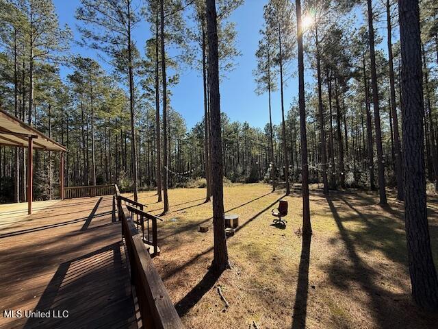 1304 Stump Road Road, Crosby, Mississippi image 28