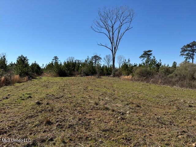 1304 Stump Road Road, Crosby, Mississippi image 46