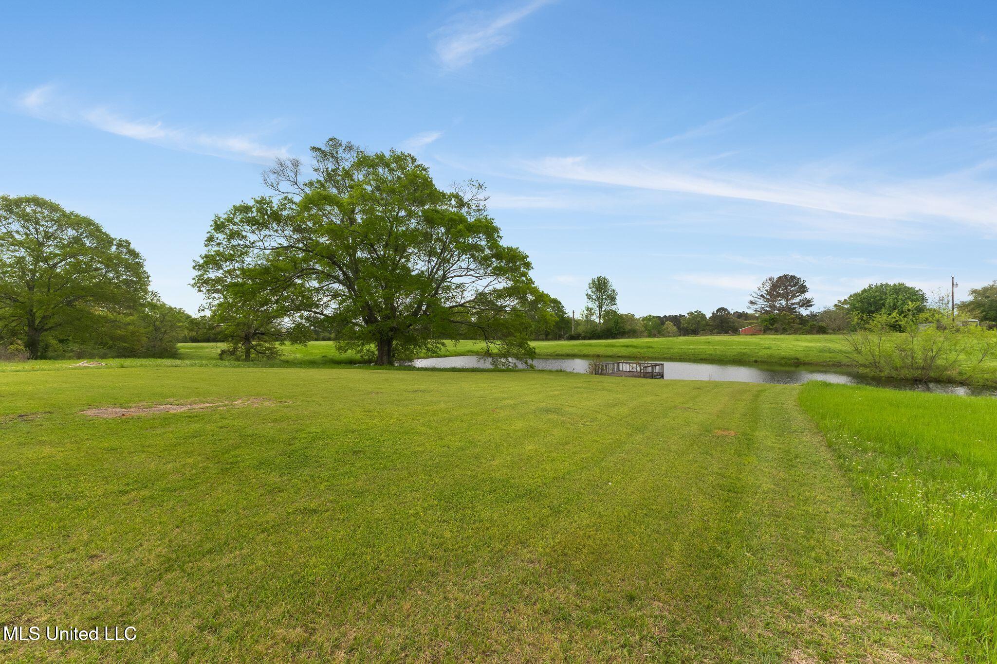 708 Mt Pleasant Road, Mount Olive, Mississippi image 36