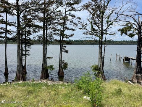 Vacant Land For Sale - 980 Moon Lake Road<br/> Dundee, MS 38626