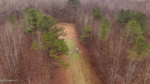 Vacant Land For Sale - Brown Road<br/> Oktibbeha County, Starkville, MS 39759