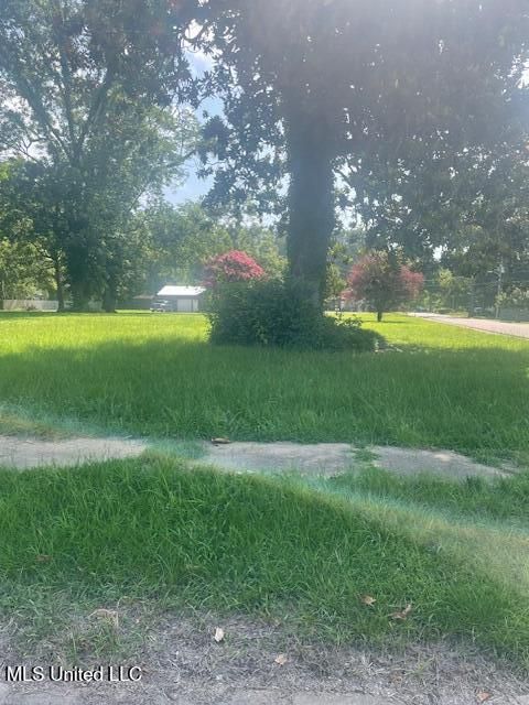 Vacant Land For Sale - 0000 Sycamore Street<br/> Panola County, Como, MS 38619