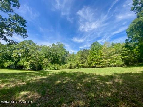 Vacant Land For Sale - TBD Moaks Creek Road<br/> Pike County, Summit, MS 39666
