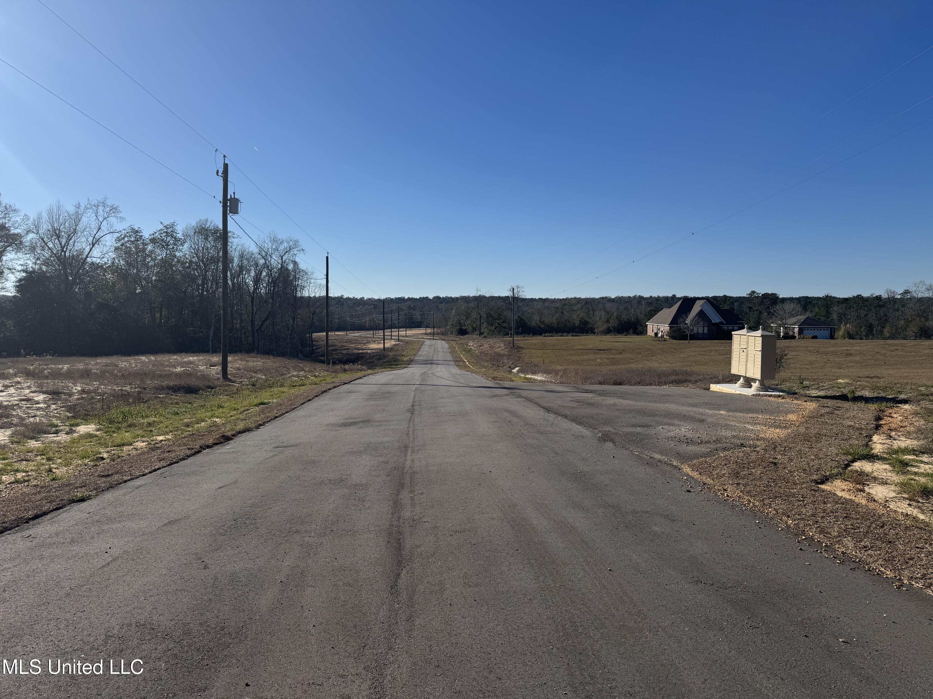 Shadow Wood- Lot 1 Drive, Perkinston, Mississippi image 1