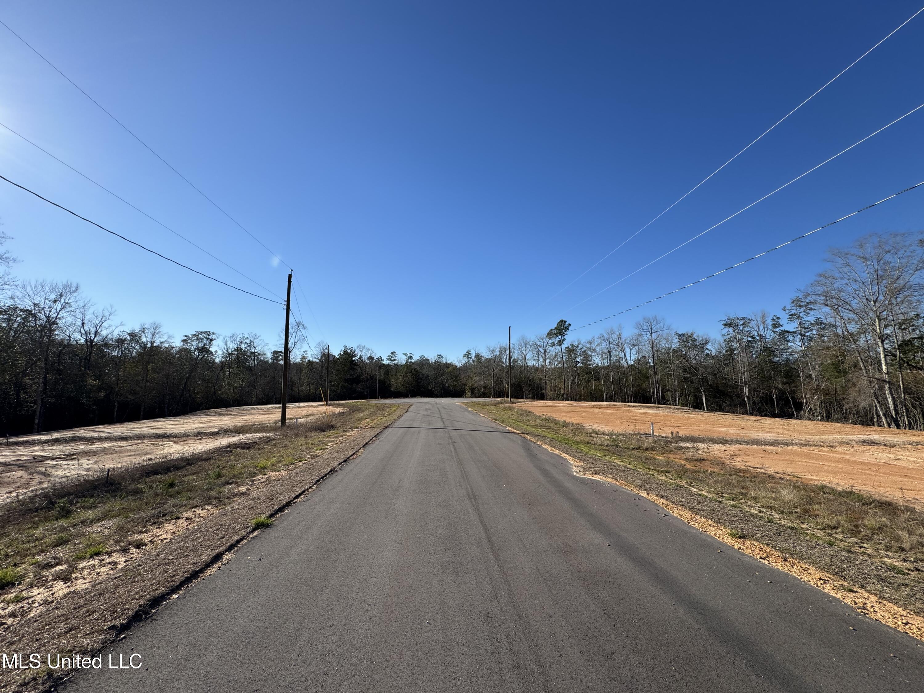 Shadow Wood- Lot 1 Drive, Perkinston, Mississippi image 2