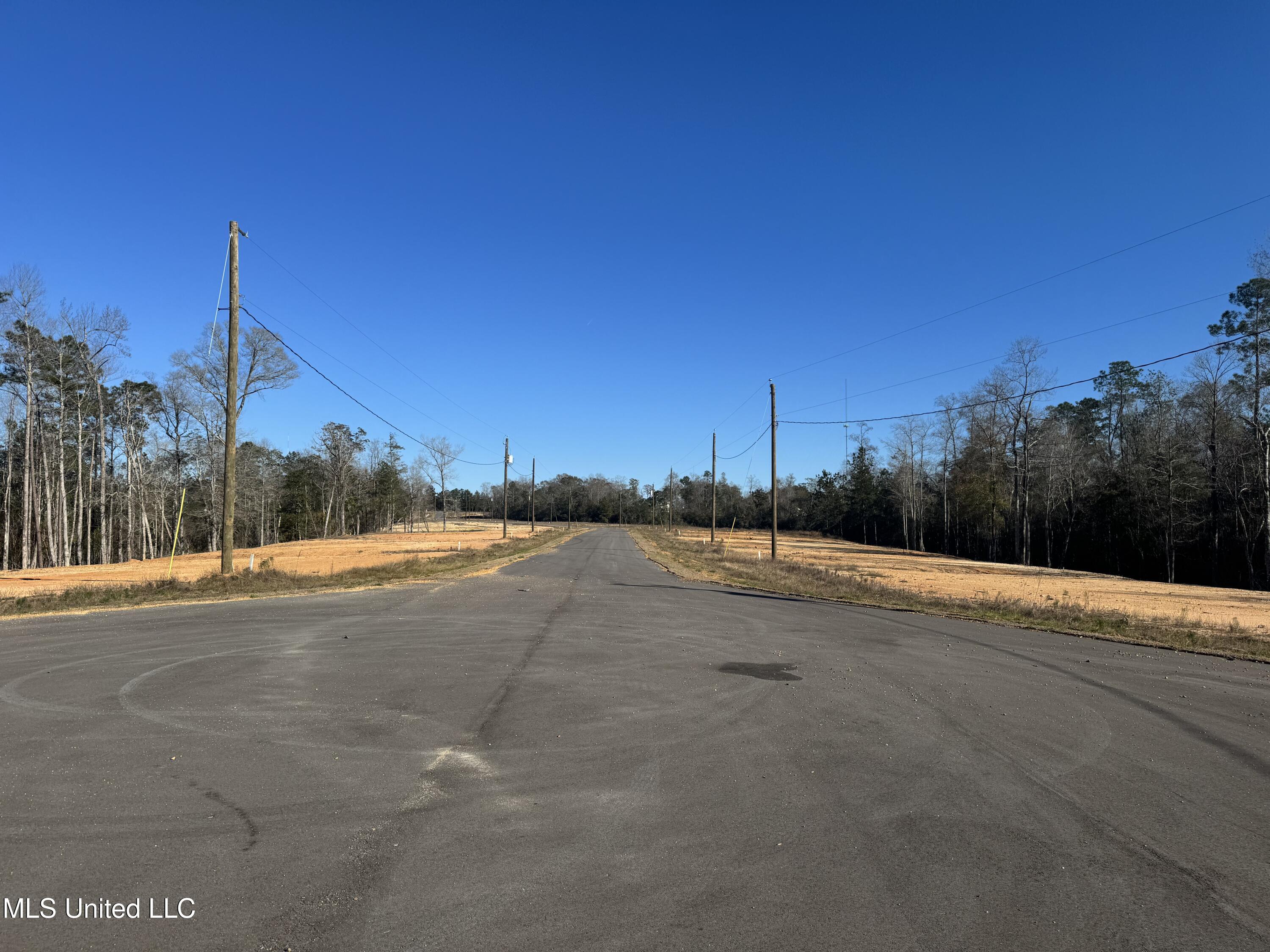 Shadow Wood- Lot 1 Drive, Perkinston, Mississippi image 3