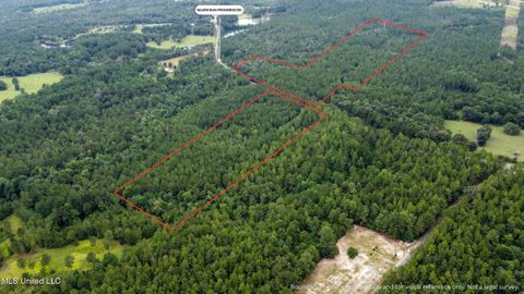 Vacant Land For Sale - Silver Run-progress Road<br/> Perkinston, MS 39573