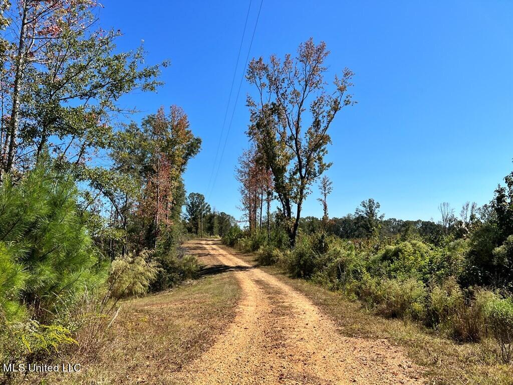 Hwy 48, Centreville, Mississippi image 25