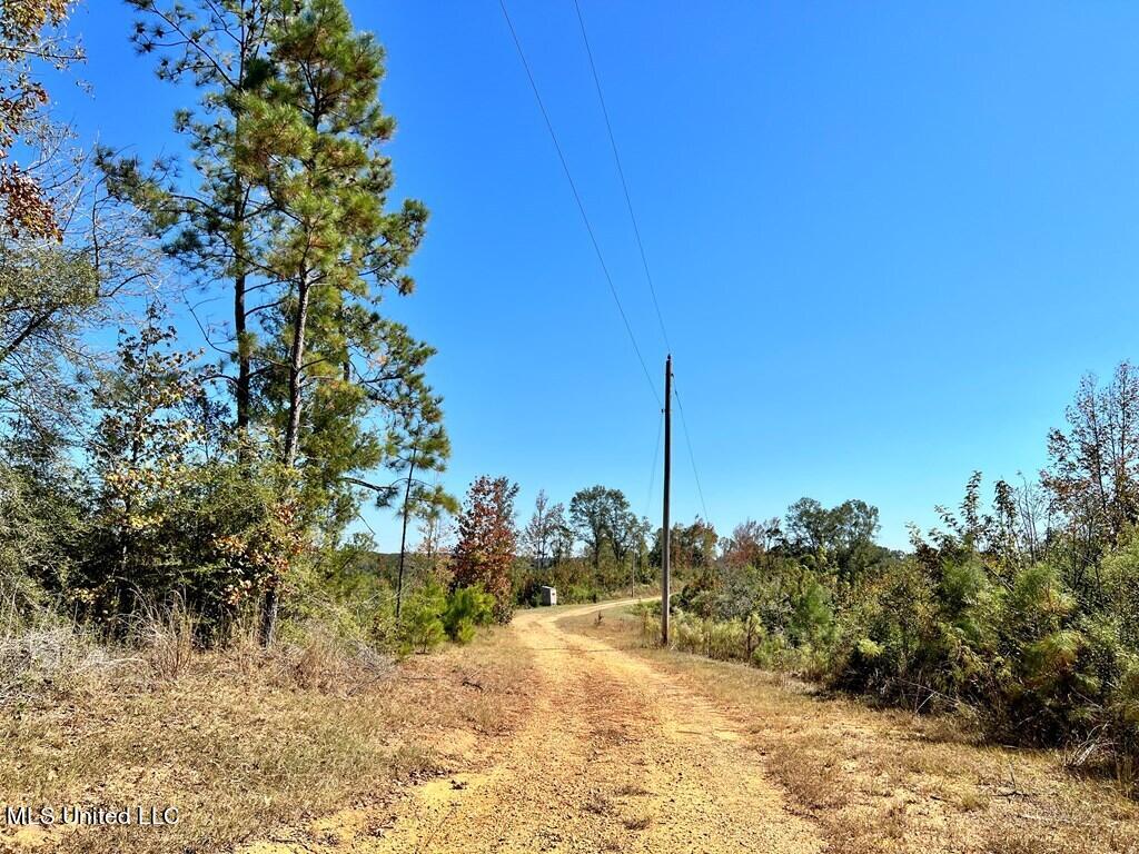 Hwy 48, Centreville, Mississippi image 6