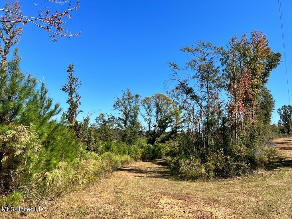 Hwy 48, Centreville, Mississippi image 24