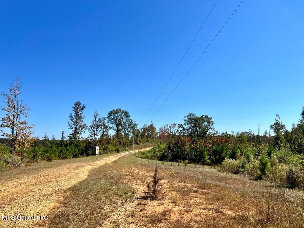 Hwy 48, Centreville, Mississippi image 4