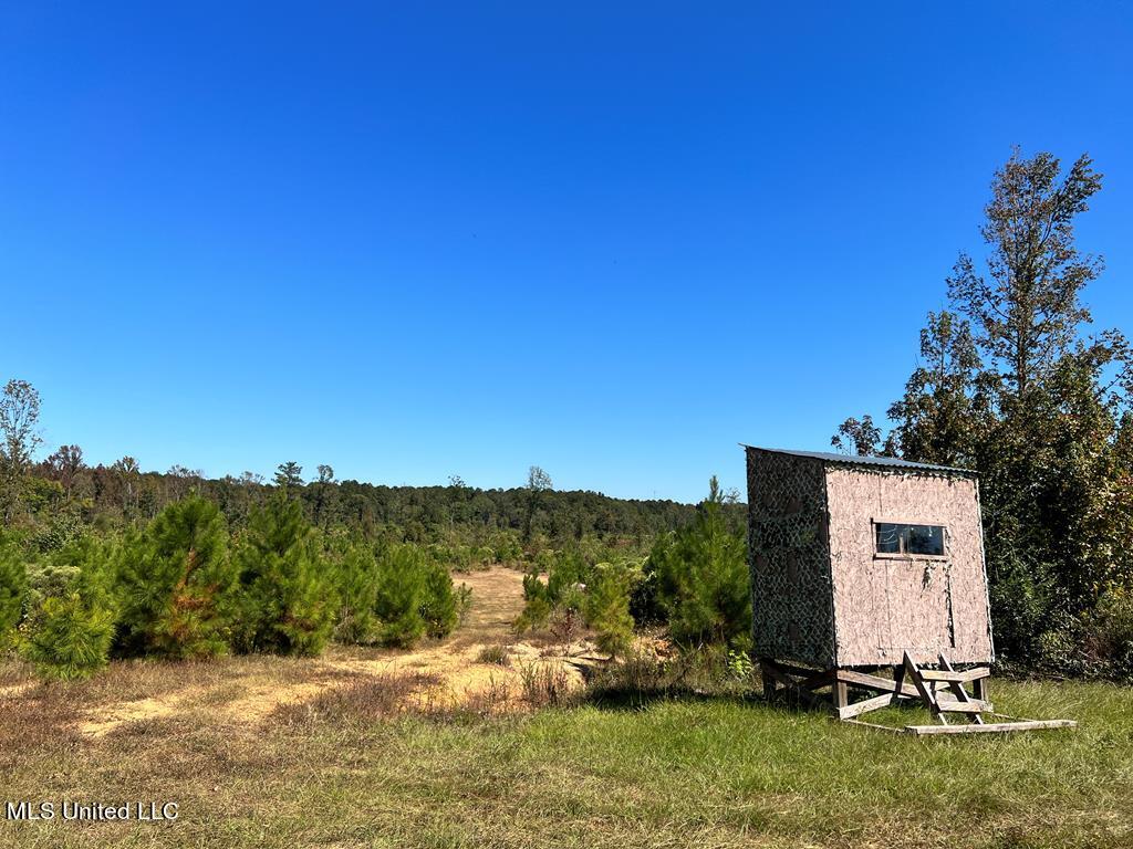 Hwy 48, Centreville, Mississippi image 2