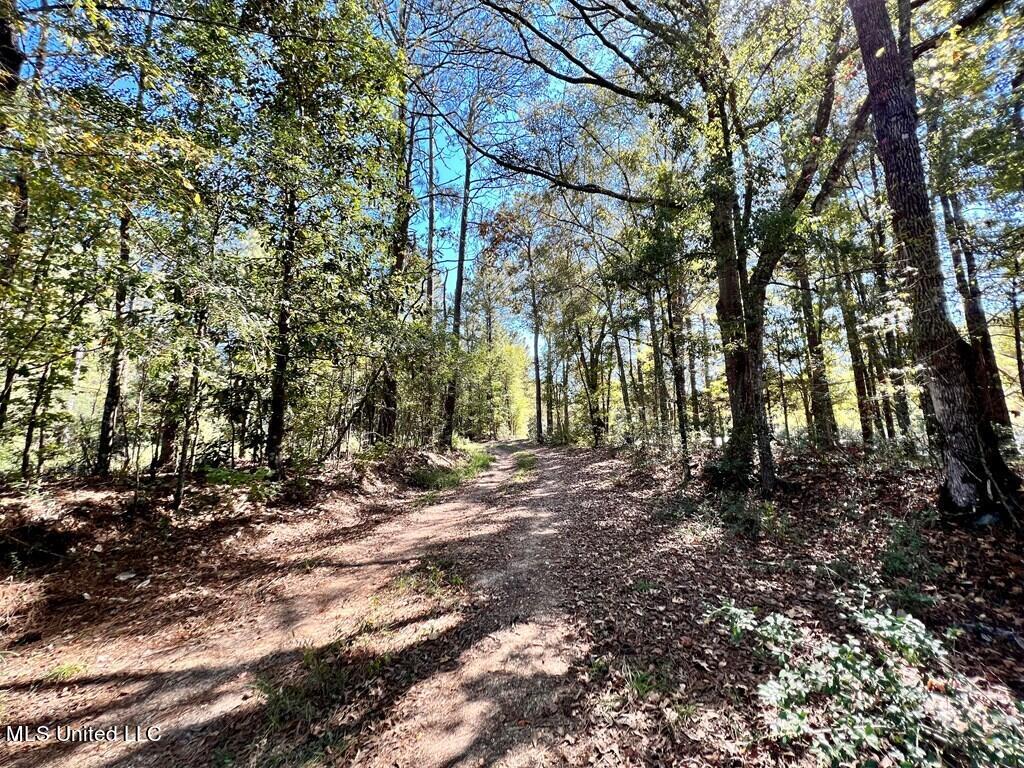 Hwy 48, Centreville, Mississippi image 9