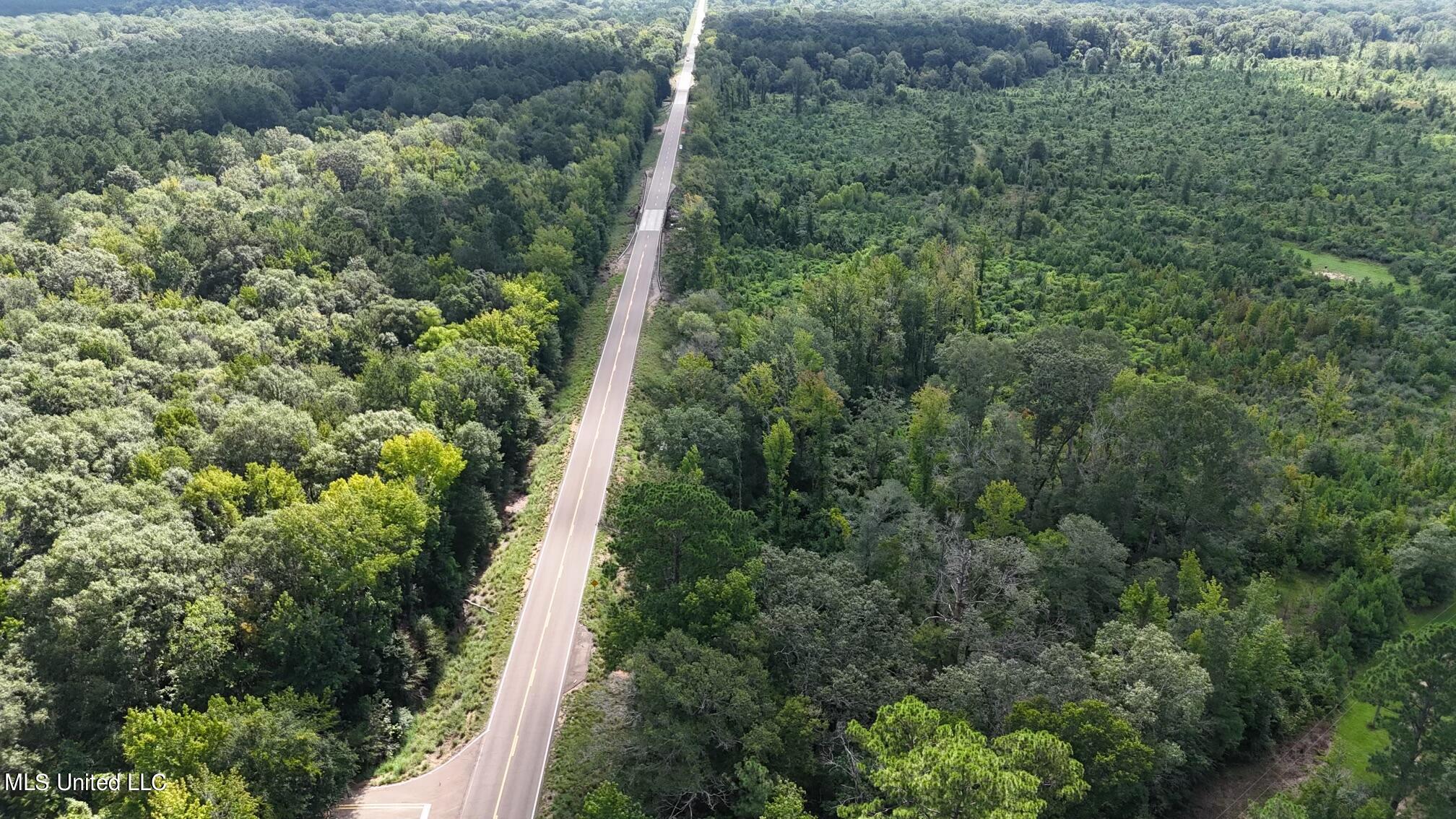 Hwy 48, Centreville, Mississippi image 36