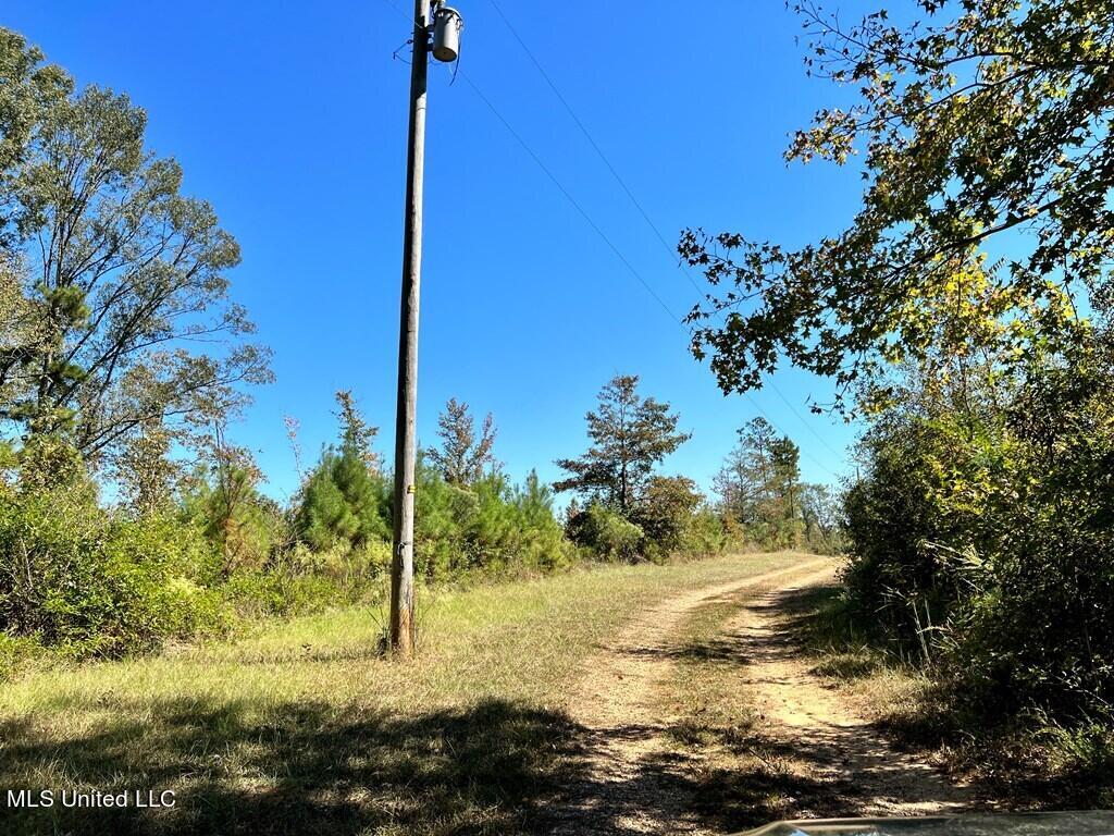 Hwy 48, Centreville, Mississippi image 8