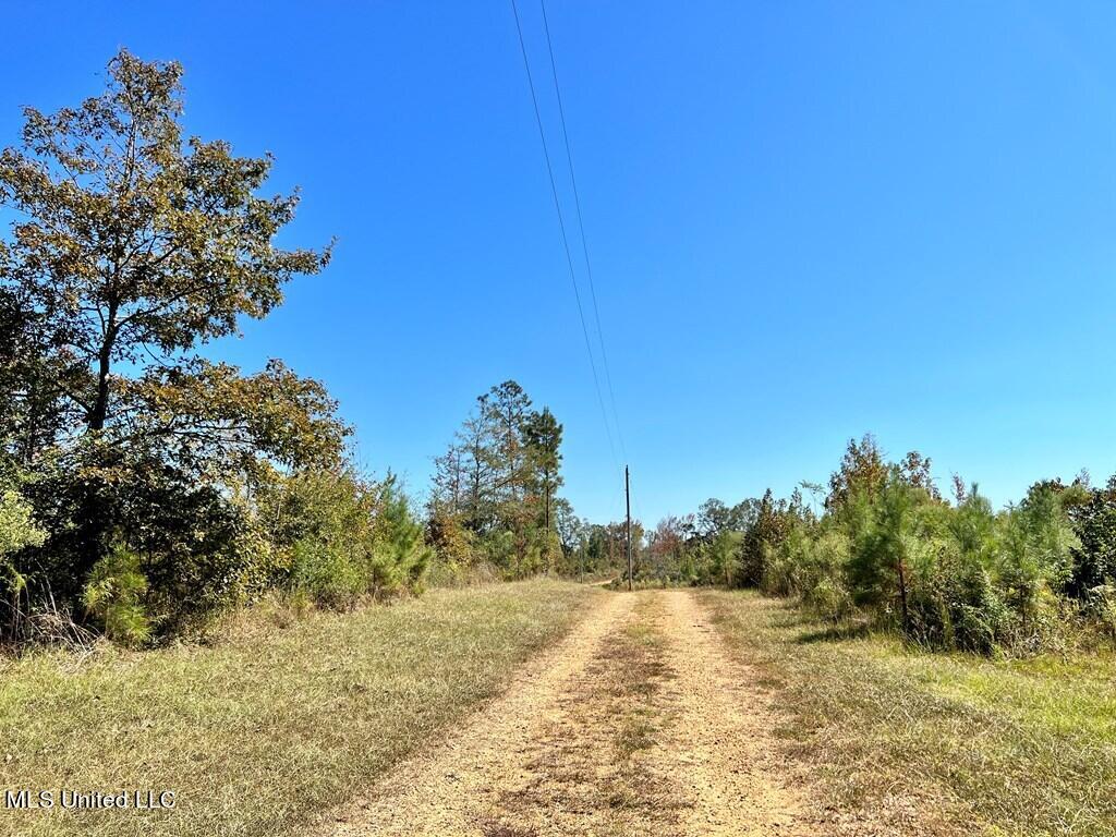 Hwy 48, Centreville, Mississippi image 7