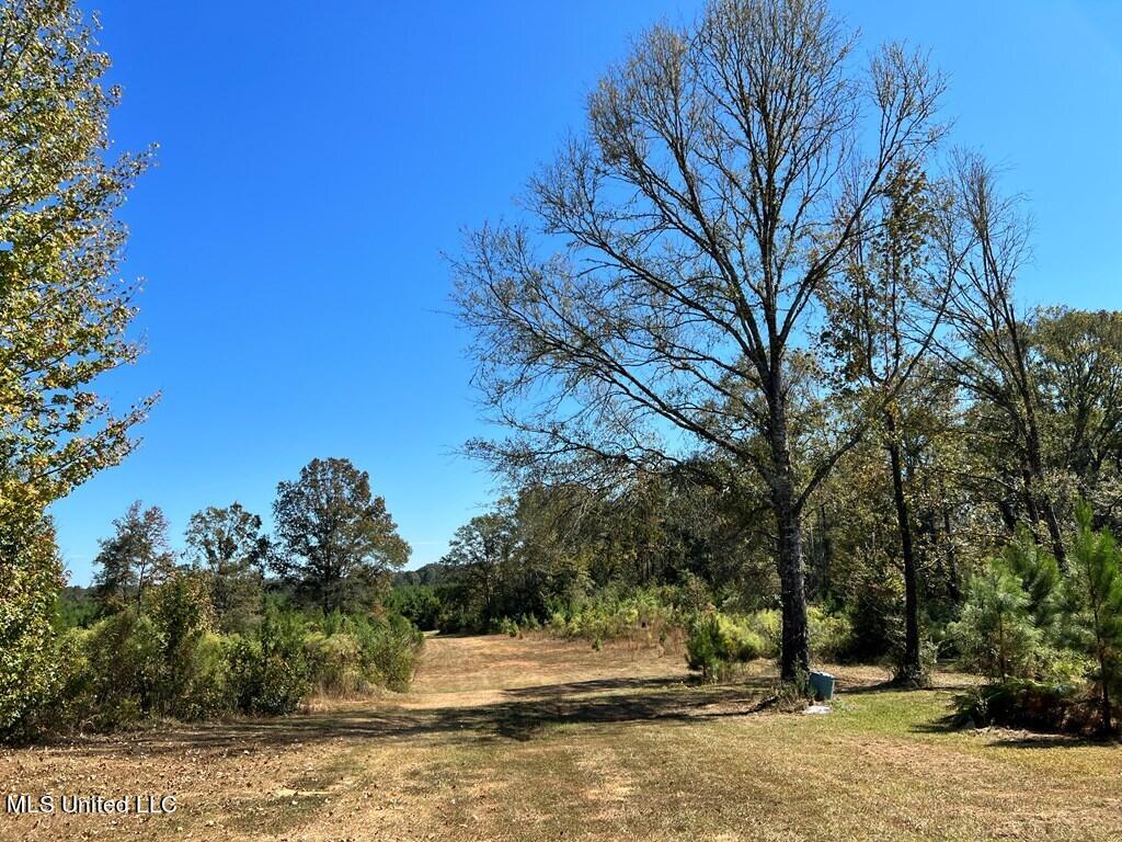 Hwy 48, Centreville, Mississippi image 23