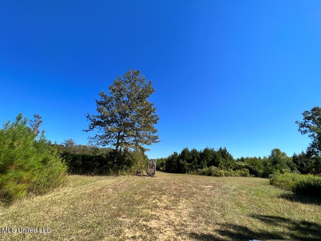 Hwy 48, Centreville, Mississippi image 19