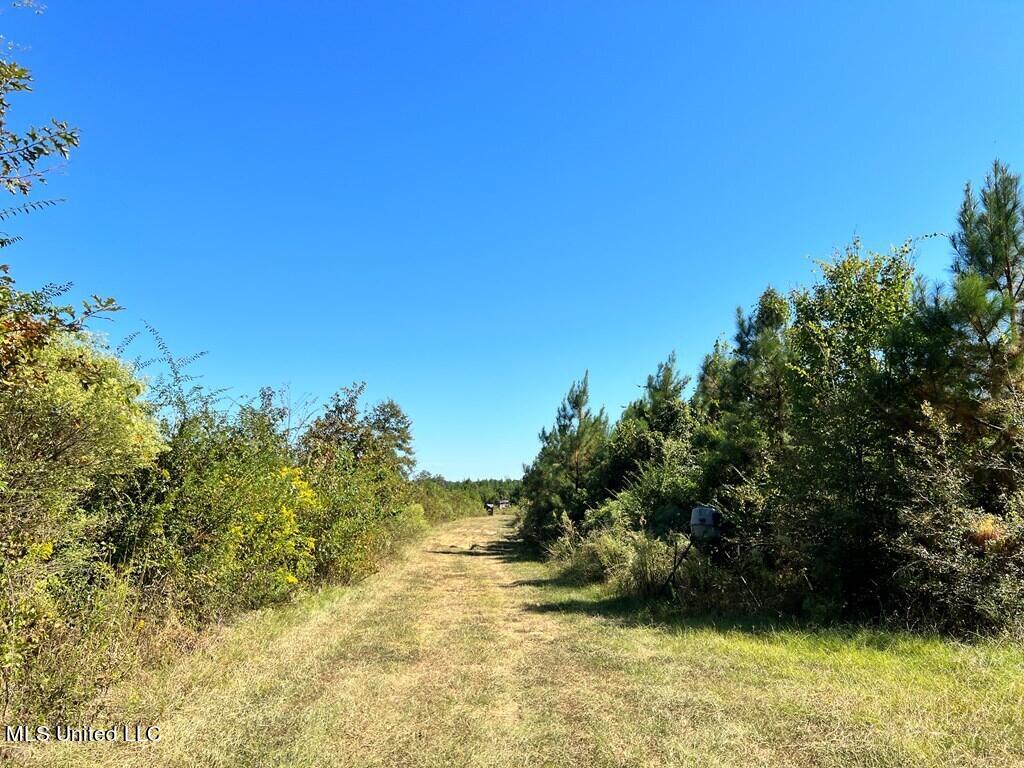 Hwy 48, Centreville, Mississippi image 20