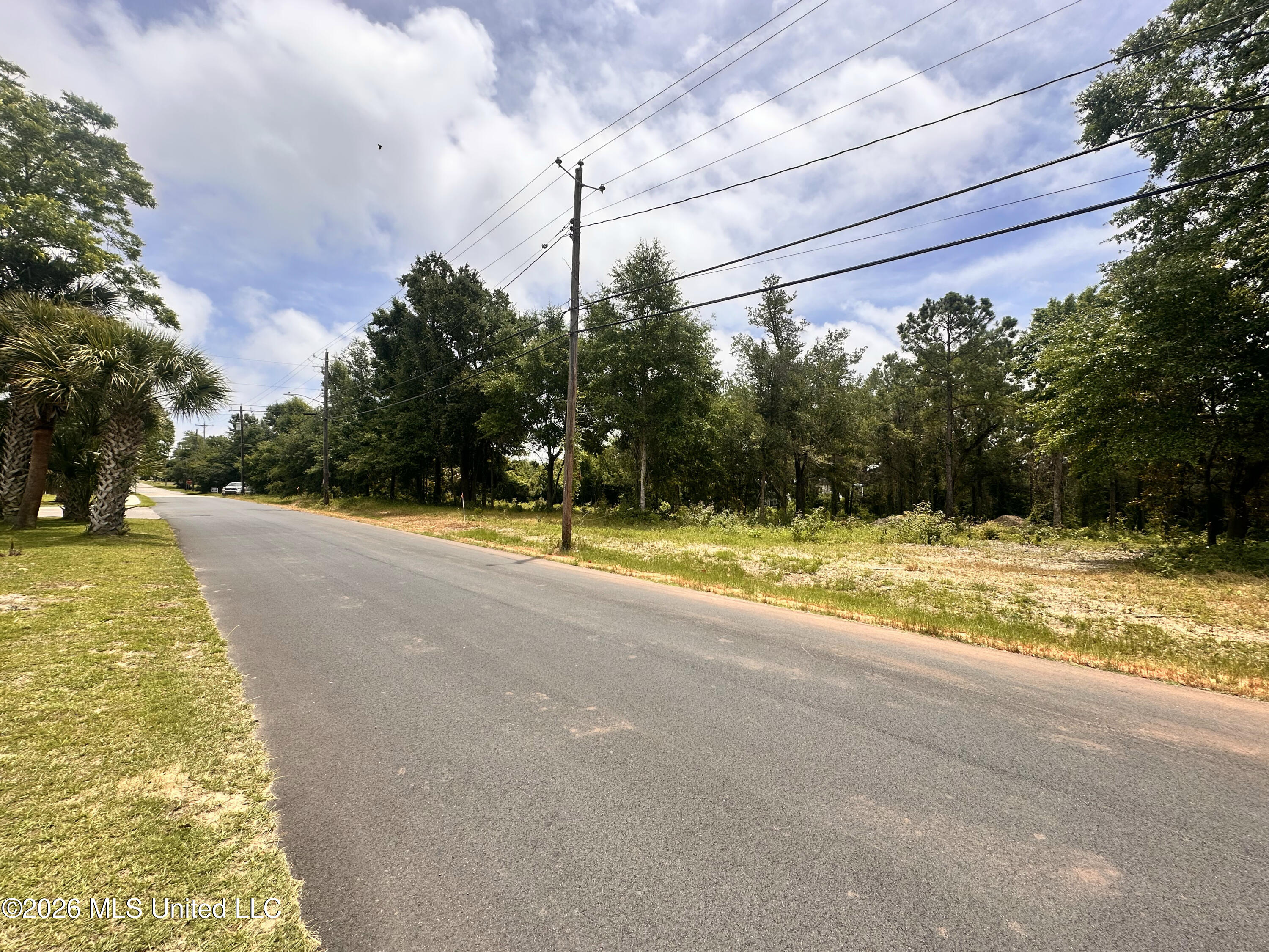Lot 8 Magnolia Street