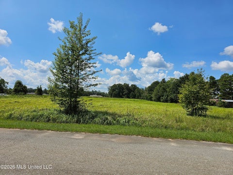 Vacant Land For Sale - Lot 4 Maci Lane<br/> Lucedale, MS 39452