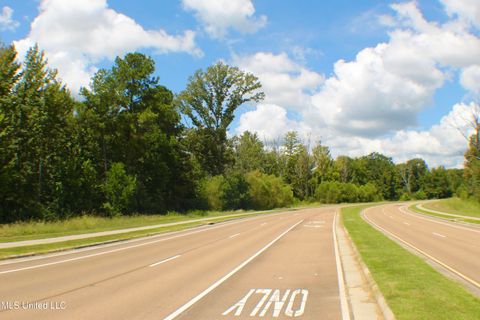 Vacant Land For Sale - Hind Parkway<br/> Byram, MS 39272