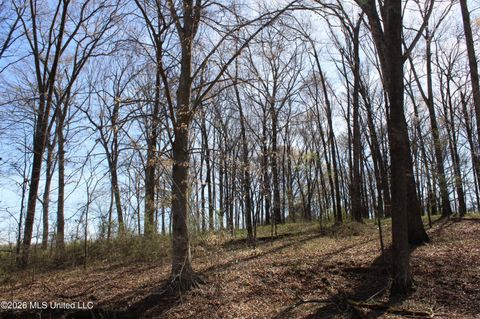 Vacant Land For Sale - 9 Barton Desoto Road<br/> Marshall County, Olive Branch, MS 38654