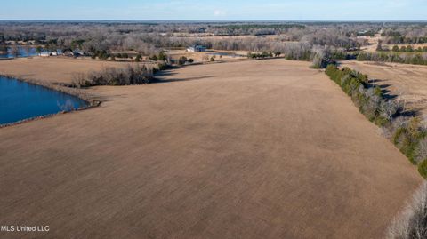 Vacant Land For Sale - Mccullough Lane<br/> Flora, MS 39071