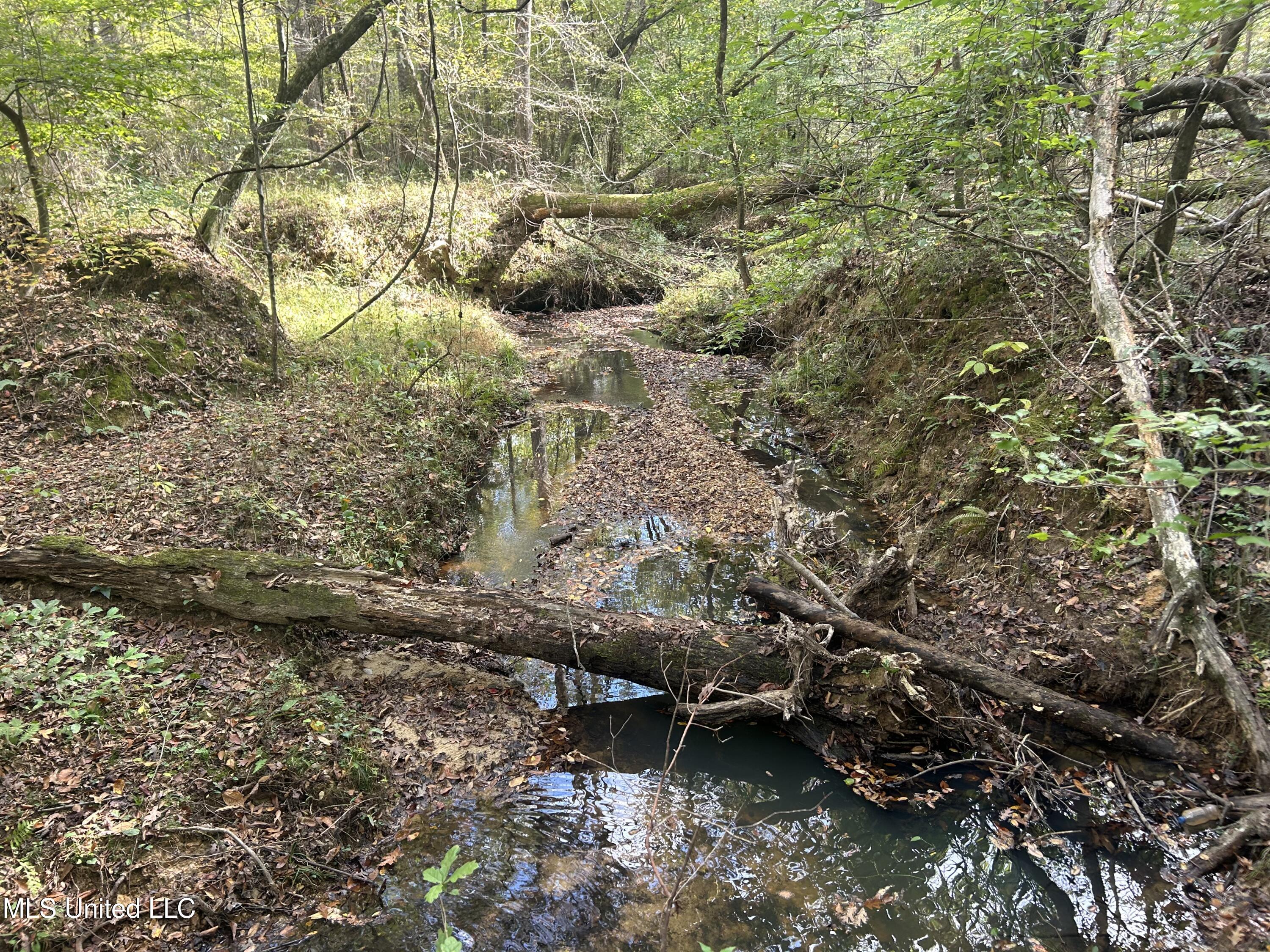 Crews Lane, Crystal Springs, Mississippi image 1