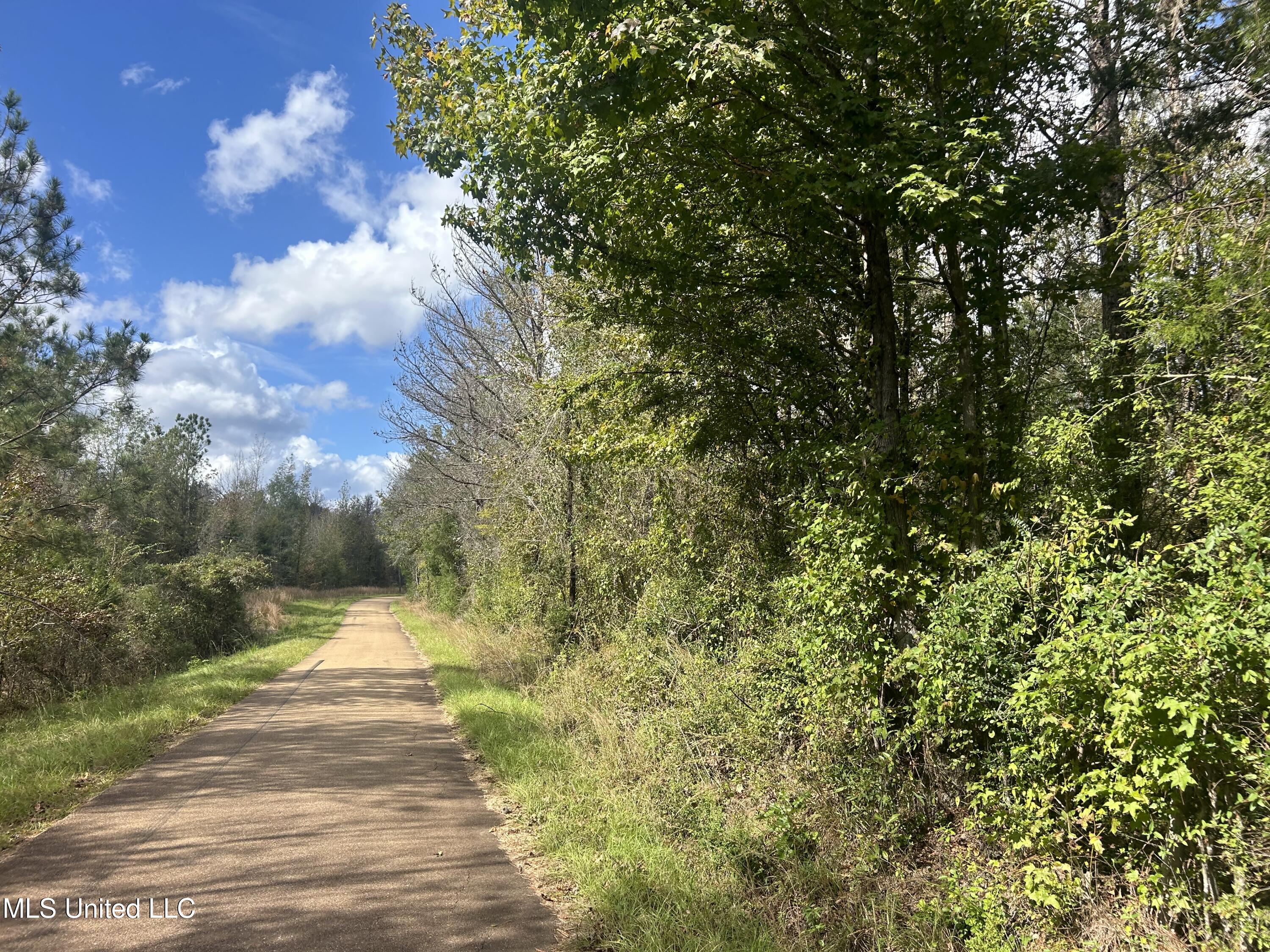 Crews Lane, Crystal Springs, Mississippi image 19