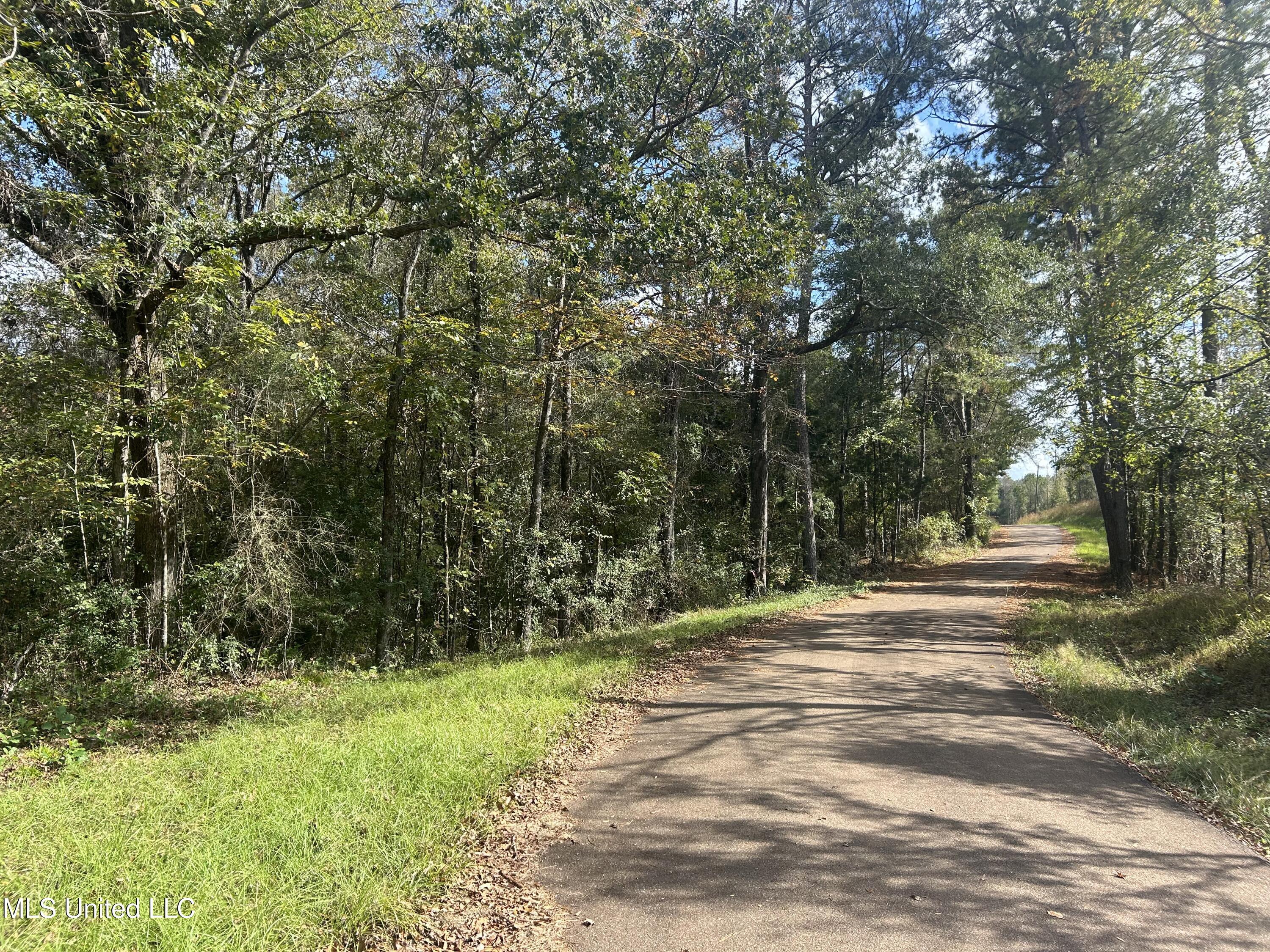 Crews Lane, Crystal Springs, Mississippi image 20