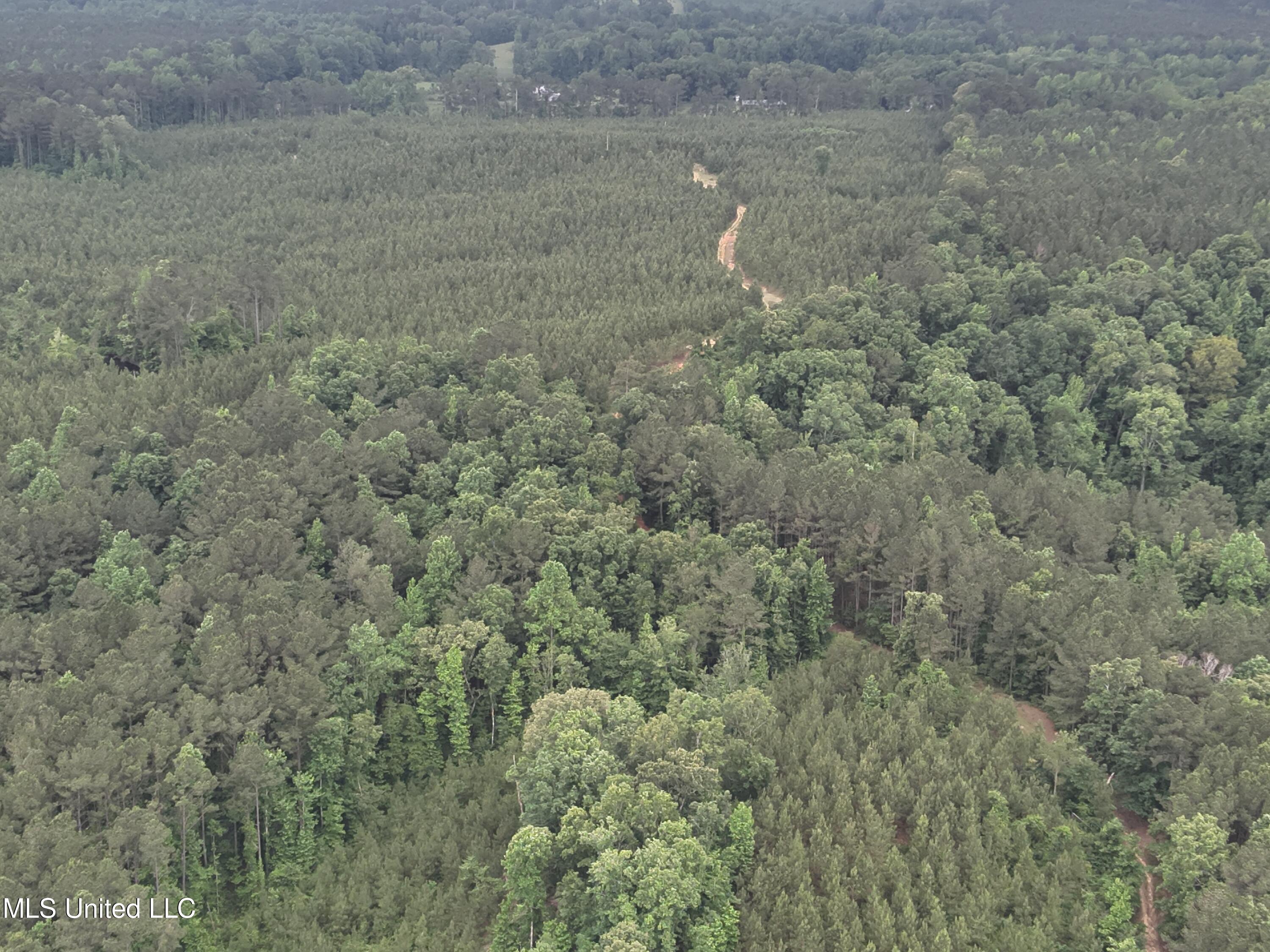 Old Pickens Rd Road, Kosciusko, Mississippi image 26