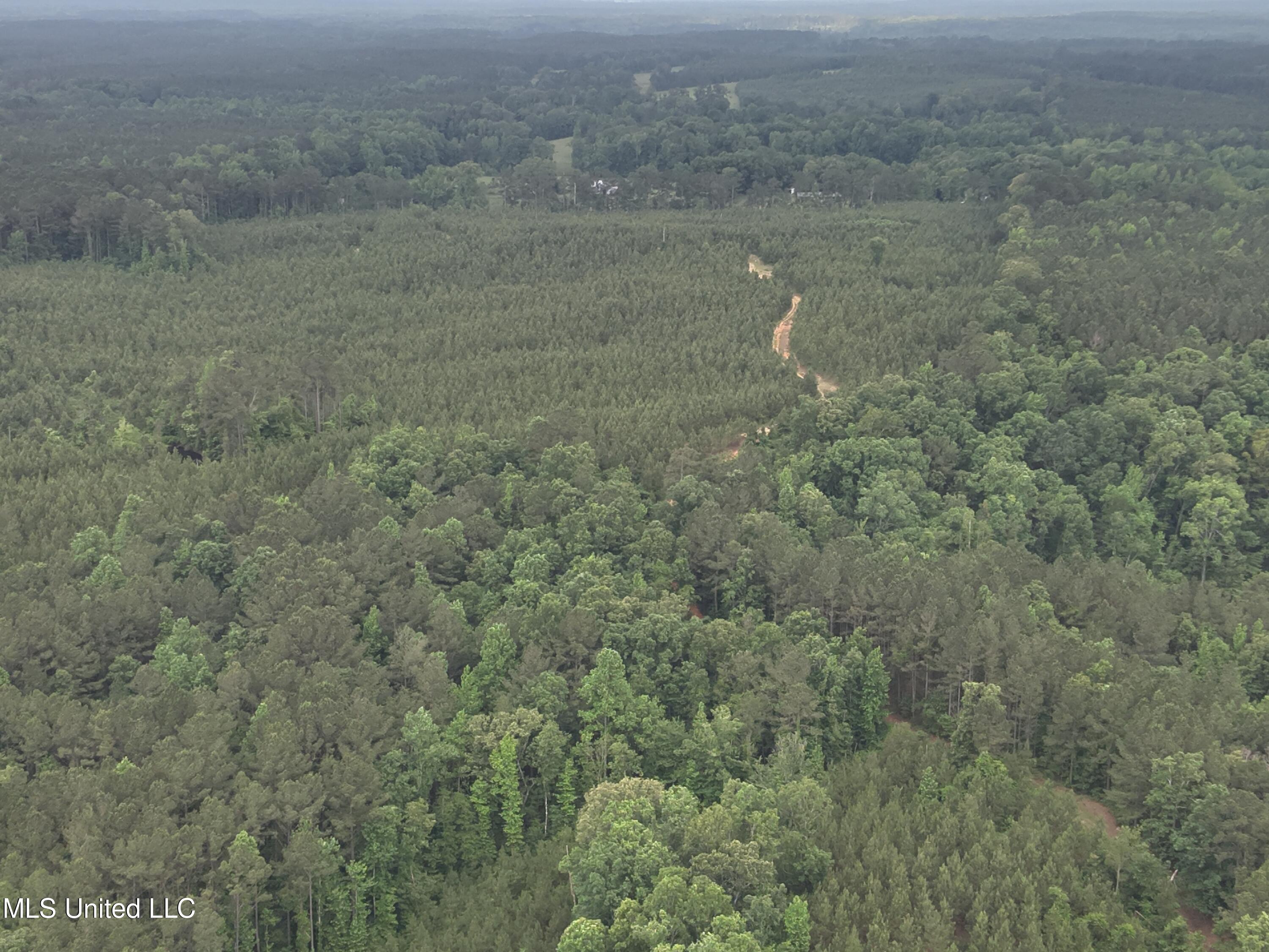 Old Pickens Rd Road, Kosciusko, Mississippi image 21