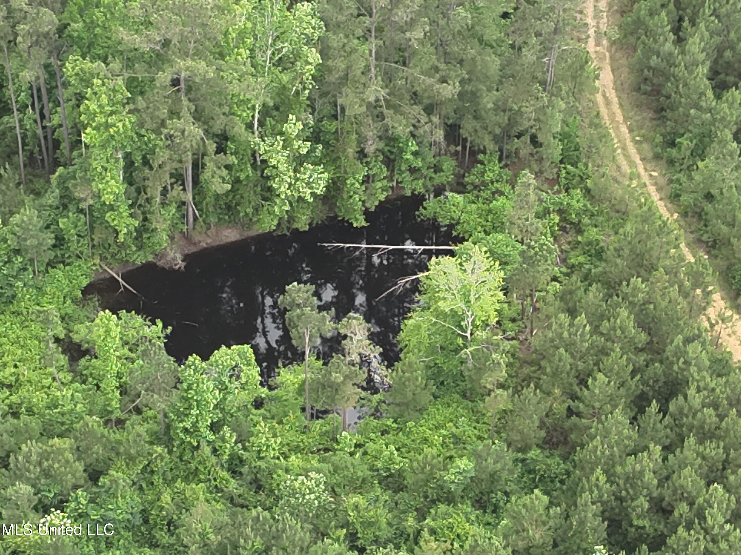 Old Pickens Rd Road, Kosciusko, Mississippi image 11