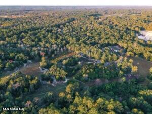 Grady Diamond, Perkinston, Mississippi image 1