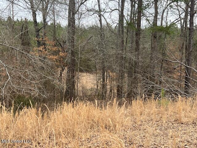 2696 Holbrook Road, Ashland, Mississippi image 27