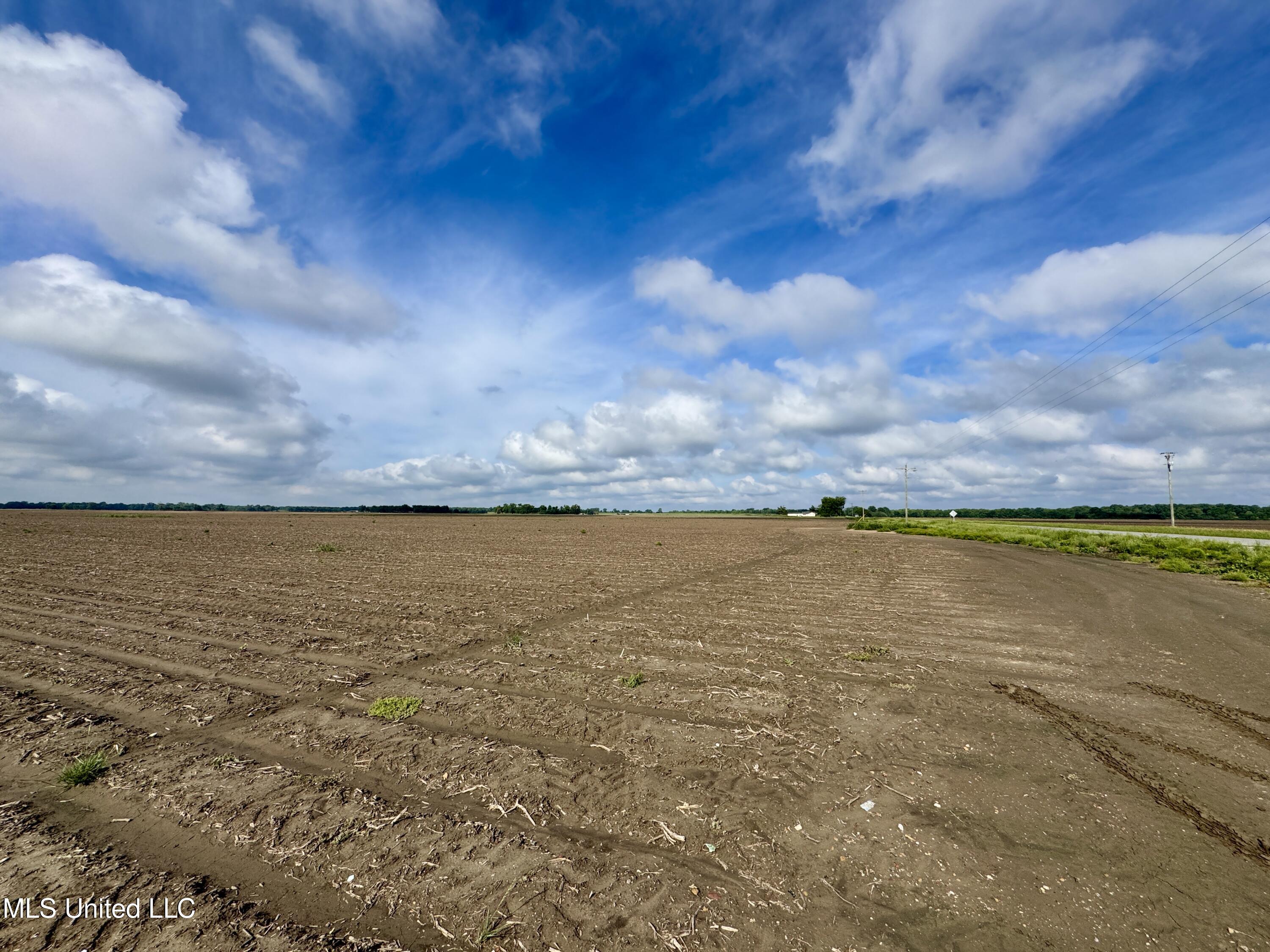 Farrell Road, Clarksdale, Mississippi image 3